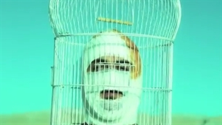 دانلود آهنگ جدید سام به نام آزادی