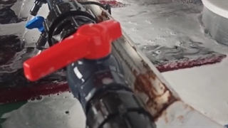 قالیشویی قم از دوربین نقدونه