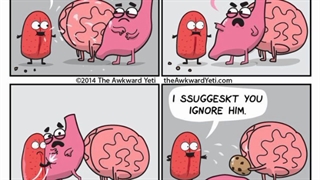 Soundeffect