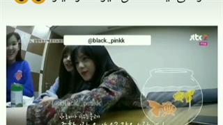 وقتی لیسا صدا های کیوت در میاره