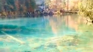 دکلمه شعر یک بوسه و یک چای هوا هم برفی ست از محمد خوش بین