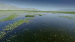 زیبامعرفی چهارمحال وبختیاری