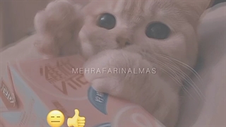 این افراد رو از زندگیت حذف کن+کپشن