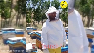 معرفی عسل بهاره چهل گیاه