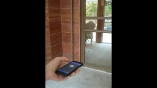 دربازکن موبایلی وکارتی