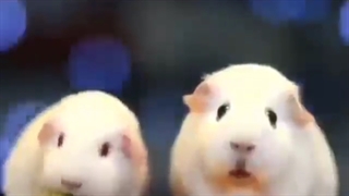 وقتی یدفعه غذای رستوران یک میلیون میشه