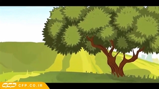 جواب آمیرزا