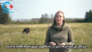 نمونه مزرعه خانوادگی دامداری در ساسکاچوان کانادا