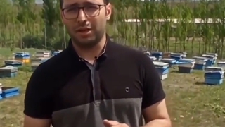 راز خرید عسل طبیعی!