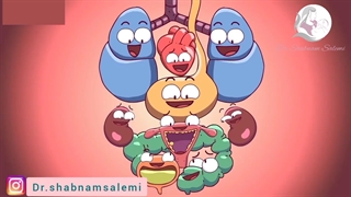 بارداری و تغییرات آن در بدن