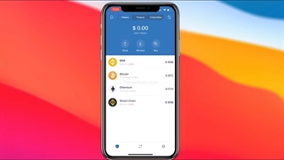 راهنمای نصب و کار با کیف پول تراست ولت