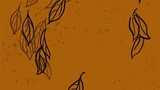 نمایش <<خانه سیاه است>>