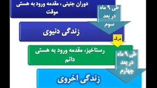 دو قلو انیشتین