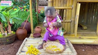 فیلم* Animals Home*قسمت هفدهم
