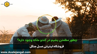 چطور ملکه زنبور عسل را پیدا کنیم؟ مطمئن شدن وجود ملکه در کندو