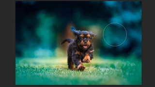 Image effect - افکت تصویر ساده و کاربردی