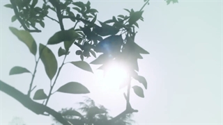 قسمت 21  فقط تو قسمت بیست و یکم+زیرنویس فارسی Nothing But You 2022