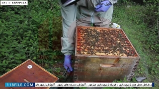 آموزش رایگان زنبورداری-پرورش زنبورداری-احداث زنبورداری جدید