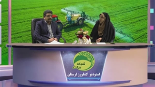 مدیریت داشت گندم کشاورزی قراردادی