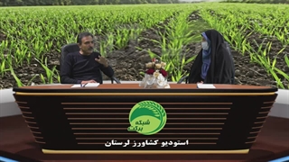 تغذیه گیاهی غلات