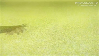 میراکلس فصل4 قسمت24 پنالتیم زیرنویس فارسی اختصاصی