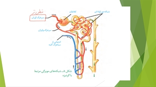 دهم--فصل5-ش2