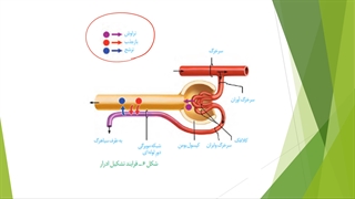 دهم--فصل5-ش4