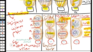 یازدهم-فصل6-ش10