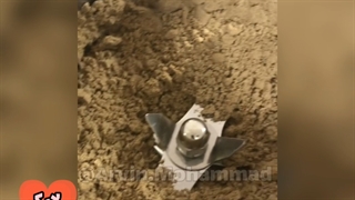 روش پودر کردن حشرات پودر میل ورم