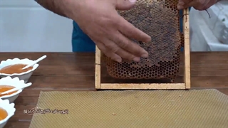 تشخیص عسل طبیعی با موم از عسل تقلبی با موم
