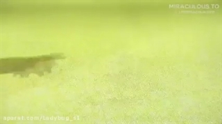 میراکلس فصل 4 قسمت 23 (قسمت پنالتیوم) زیرنویس فارسی