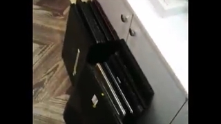 فروش تکی و عمده لپ تاپ استوک - فروشگاه نوژینو - بار جدید ( گیمینگ ارزان قیمت )