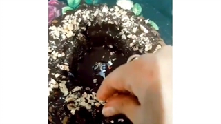 how to make ckce ghahve