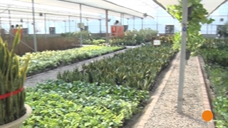 آیین افتتاح مجتمع نمایشگاهی _تحقیقاتی گل و گیاه رضوی