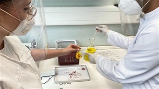 مصرف روزانه زعفران چقدر است؟ الماس زعفران