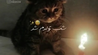 تولدم با ۴ روز اختلاف مبارک 