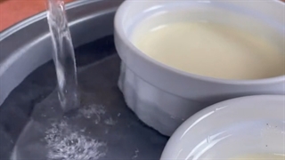 کرم بروله برای گیلان فود