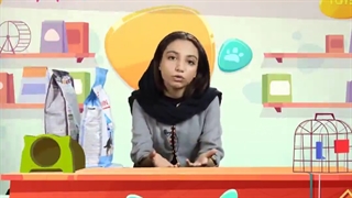 اهمیت غذای خشک در رژیم غذایی حیوان های خانگی