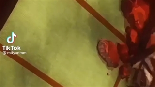 میکس توموئه