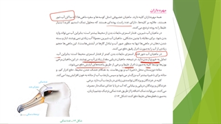 دهم--فصل5-ش12