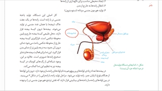 یازدهم-فصل7-ش3