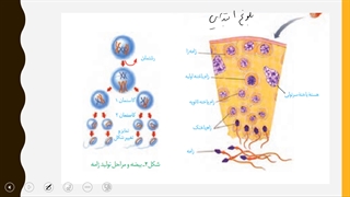 یازدهم-فصل7-ش9