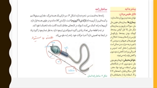 یازدهم-فصل7-ش11