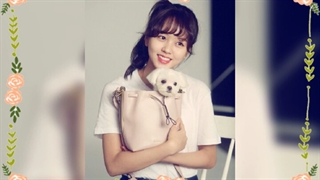 کیم سئو هیونگ