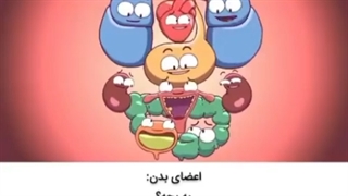 تغییرات رحم و بدن طی بارداری