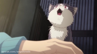 میکس انیمه بامزه و خنددار  doukyonh wa hiza, tokidoki