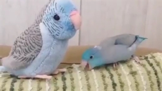 کلیپ طنز خفن