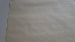 طراحی پرنده تکنیک مداد