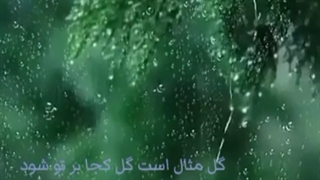 باز باران بر من عاشق ببار / سید عرشی / کلیپ شعر