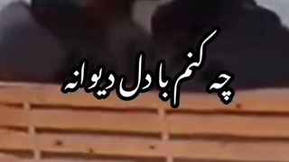 دکلمه شعر شده عشقت به کسی بیشتر از حد باشد از محمد خوش بین